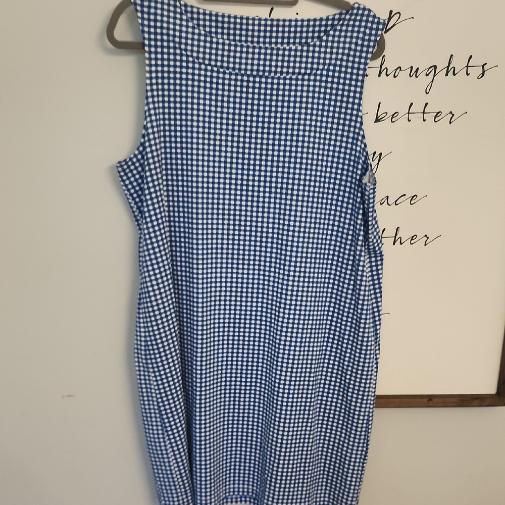 Blue Gingham Sleeveless Dress